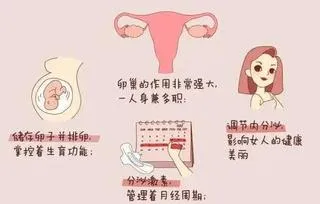 卵巢老1岁，女人老10岁；卵巢功能好不好？看着3种表现