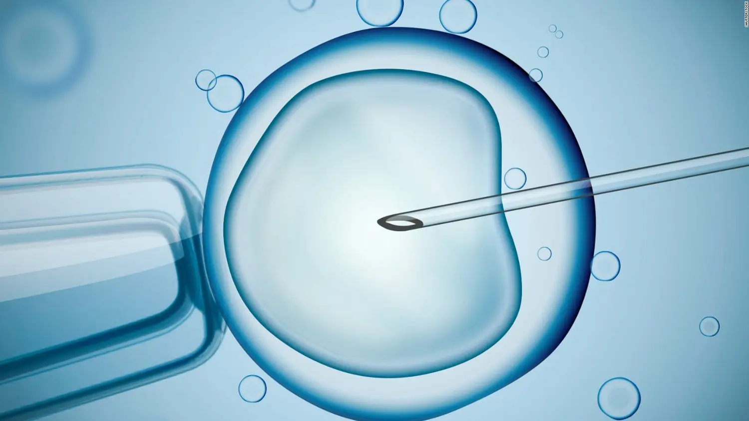 试管移植胚胎越多越好？试管放2个胚胎成功率高吗？