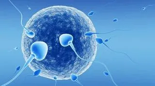 人造精子都出来了！无精子症也能生娃-3D精子体外培养