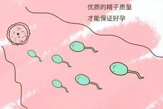 供精助孕，二胎三胎可用同一志愿者的精子吗？
