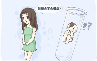 试管婴儿取卵后如何保养卵巢？多久后可以再次取卵？