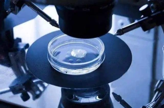广州医生研发关键检测技术，一代试管胚胎有望直接转三代试管