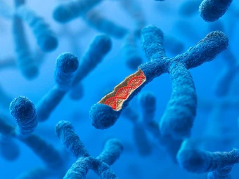 染色体有问题可以做试管吗？