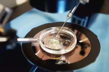 第一次鲜胚移植失败后最快多久可以再次移植胚胎？
