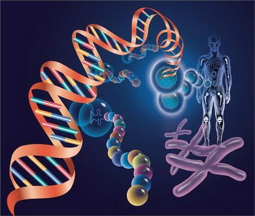 染色体异常是怎么回事?