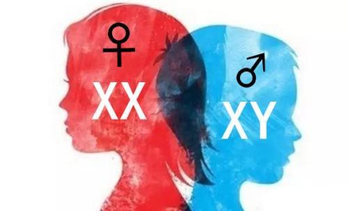 染色体异常是怎么回事?