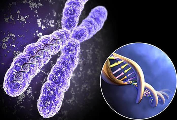 染色体异常——做试管婴儿最常见的原因之一