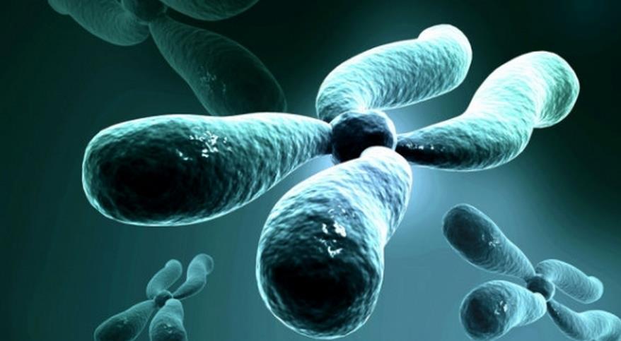 染色体异常——做试管婴儿最常见的原因之一