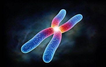 染色体异常——做试管婴儿最常见的原因之一