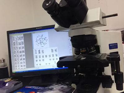 第三代试管婴儿技术解决染色体异常
