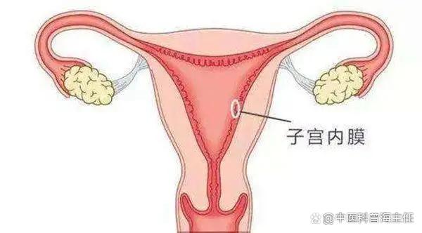 子宫内膜正常厚度是多少?内膜太薄就无法受孕吗?如何治疗? 子宫内膜正常厚度是多少?内膜太薄就无法受孕吗?如何治疗?