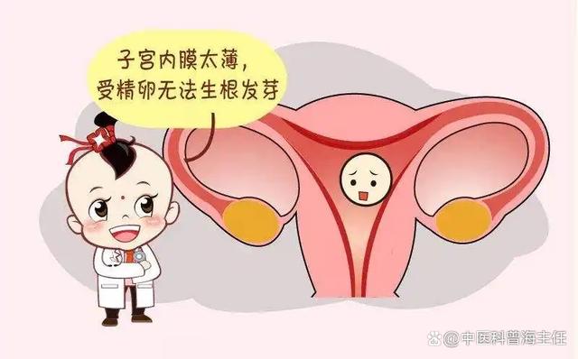 子宫内膜正常厚度是多少?内膜太薄就无法受孕吗?如何治疗? 子宫内膜正常厚度是多少?内膜太薄就无法受孕吗?如何治疗?