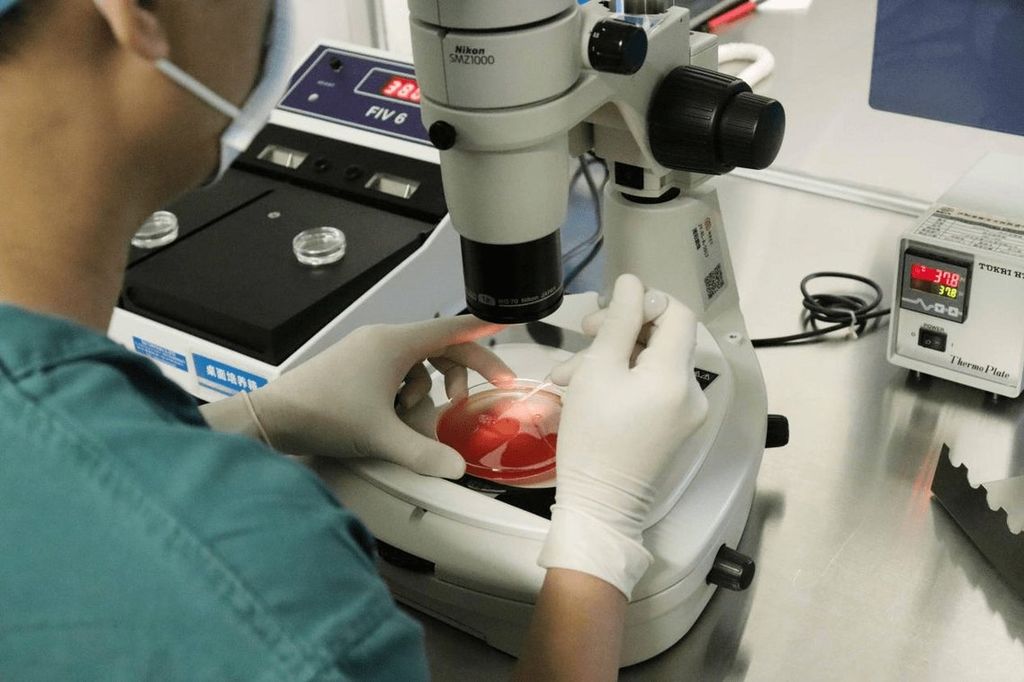 解读试管婴儿之捡卵:卵子是如何被挑选的? 解读试管婴儿之捡卵:卵子是如何被挑选的?