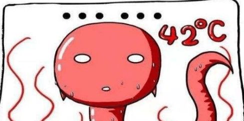 夏季高温会影响试管婴儿成功率吗？