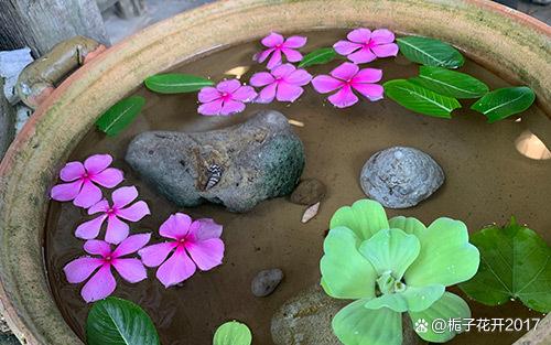 泰国试管费用科普分享 泰国试管费用科普分享