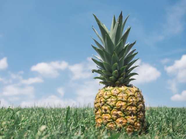 试管移植后十大禁吃水果盘点,山楂、菠萝误食小心流产 试管移植后十大禁吃水果盘点,山楂、菠萝误食小心流产