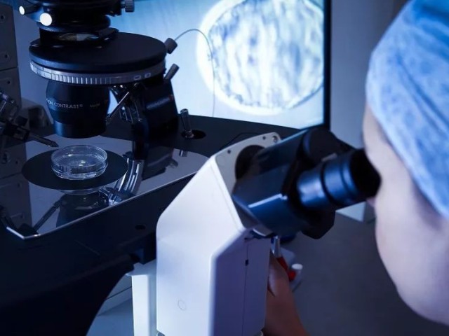 2022试管收费价目表分享,国内借卵生子不超过这个数 2022试管收费价目表分享,国内借卵生子不超过这个数