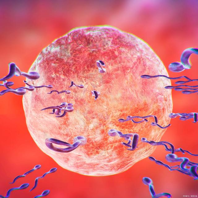 试管婴儿很简单，好的身体合适的年龄是关键！