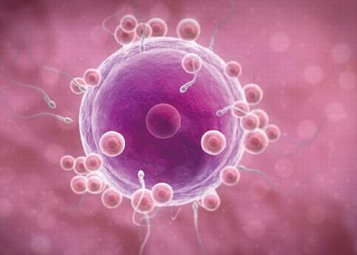 俄罗斯第三代试管婴儿费用是多少? 俄罗斯第三代试管婴儿费用是多少?