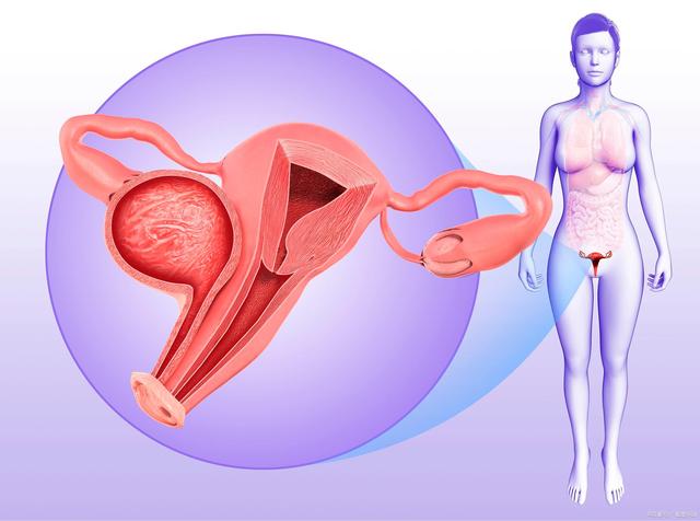 输卵管堵塞到底是什么原因，该怎么办呢