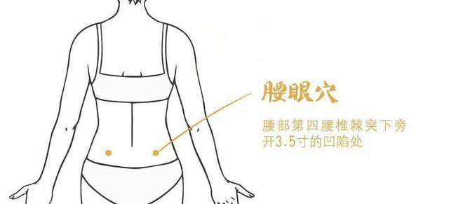 大龄女性想怀孕?先补好肾,轻松做好优生 大龄女性想怀孕?先补好肾,轻松做好优生