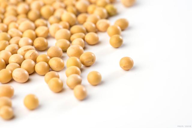 女性不想老得太快？保养卵巢不早衰，可以通过食物调理