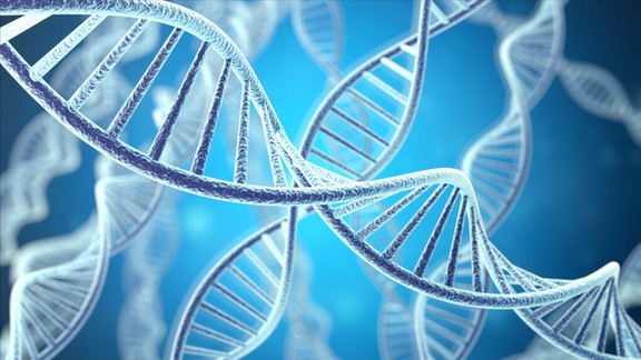 妇科体检时发现卵巢囊肿怎么办?一定要切除吗? 妇科体检时发现卵巢囊肿怎么办?一定要切除吗?