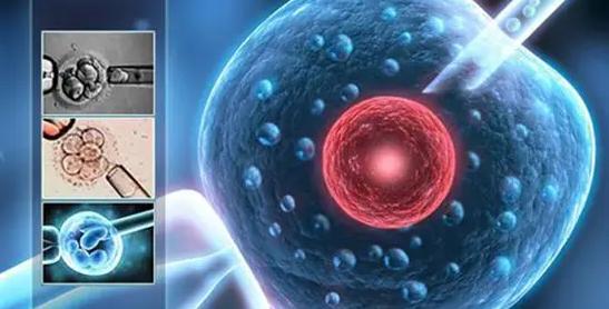 试管婴儿进周期是什么意思? 试管婴儿进周期是什么意思?