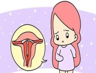 子宫发育异常危害大，影响女性的生育