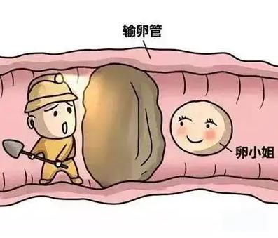 输卵管堵了，是什么原因？