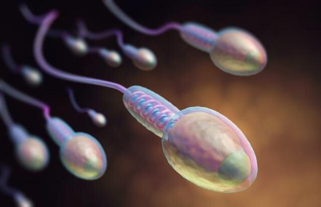 男性弱精症有什么危害? 男性弱精症有什么危害?