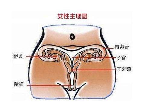 左侧输卵管积水的症状有哪些? 左侧输卵管积水的症状有哪些?