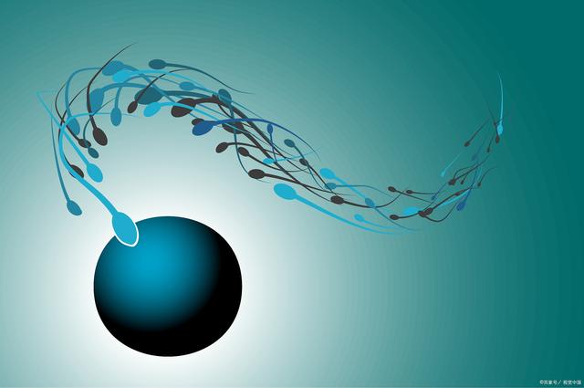 第三代试管婴儿技术核心“PGT” 第三代试管婴儿技术核心“PGT”