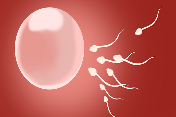 黄体破裂,到底是什么情况?对女性会有何影响? 黄体破裂,到底是什么情况?对女性会有何影响?