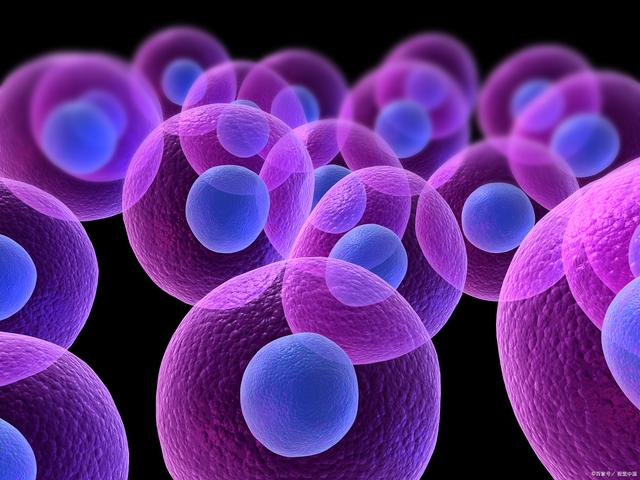 试管婴儿为什么要降调 试管婴儿为什么要降调