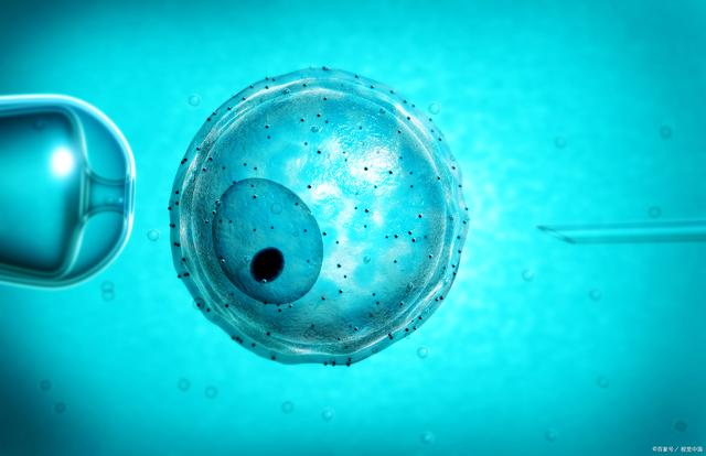 试管婴儿没成功需要注意哪几个方面 试管婴儿没成功需要注意哪几个方面