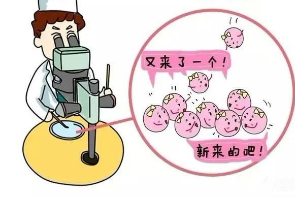 试管婴儿的长方案和短方案有什么区别? 试管婴儿的长方案和短方案有什么区别?