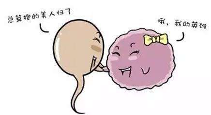 试管婴儿的长方案和短方案有什么区别? 试管婴儿的长方案和短方案有什么区别?