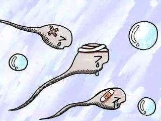 试管婴儿常见误区之一：精子畸形=胎儿畸形？