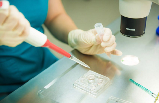 荔枝干的功效与作用 荔枝干的功效与作用