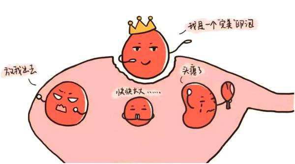 影响试管婴儿取卵数量的原因有哪些? 影响试管婴儿取卵数量的原因有哪些?