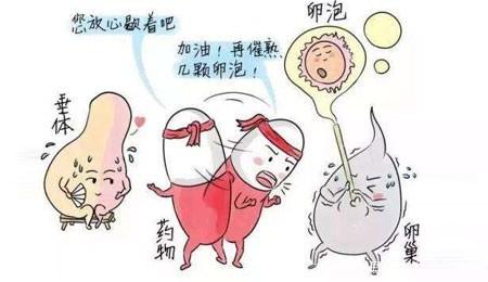 做试管婴儿之前为什么还要减肥? 做试管婴儿之前为什么还要减肥?