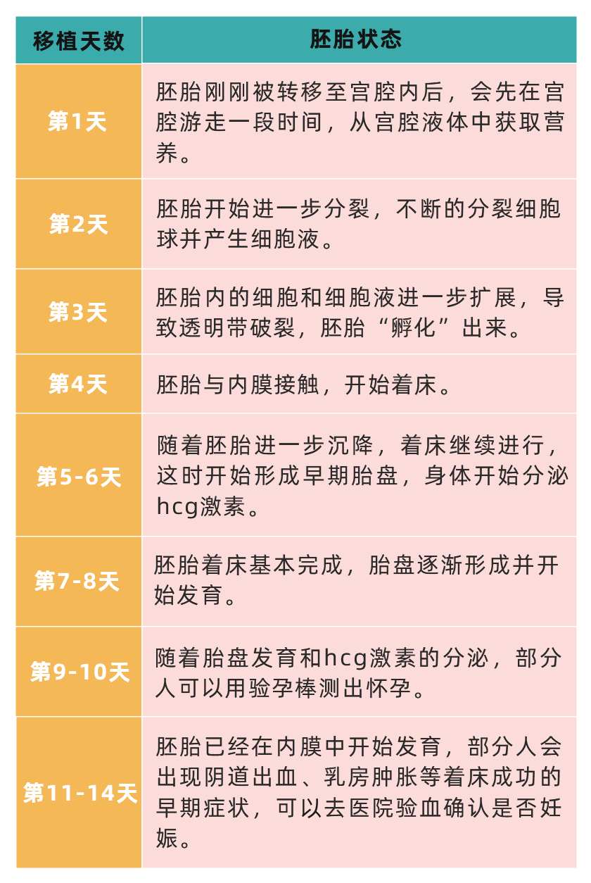 D3和D5的胚胎着床时间,移植前、后全方面知识点有这些 D3和D5的胚胎着床时间,移植前、后全方面知识点有这些