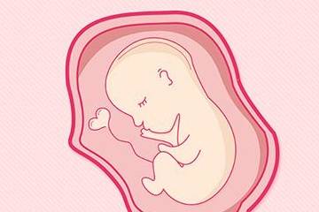 是否促排卵会提前将储存的卵子耗尽,导致卵巢早衰呢? 是否促排卵会提前将储存的卵子耗尽,导致卵巢早衰呢?