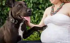 怀孕后，就真的不能养宠物了吗？