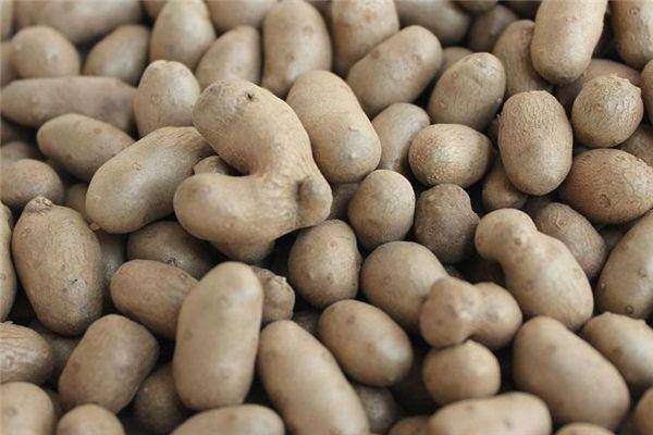 子宫光滑的女性,都爱吃以下4种食物,缓解痛经,预防子宫早衰 子宫光滑的女性,都爱吃以下4种食物,缓解痛经,预防子宫早衰