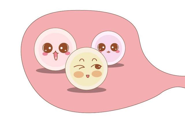 试管婴儿取卵取到空卵泡 究竟谁之过? 试管婴儿取卵取到空卵泡 究竟谁之过?