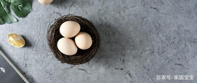 试管婴儿胚胎移植后 如何补养有啥忌口? 试管婴儿胚胎移植后 如何补养有啥忌口?