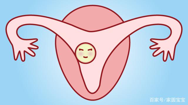 试管婴儿取到空卵泡,是取到假卵么 试管婴儿取到空卵泡,是取到假卵么