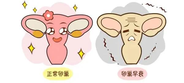 女性卵巢早衰的症状是什么? 女性卵巢早衰的症状是什么?